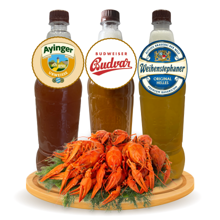 Combo Առաջարկներ